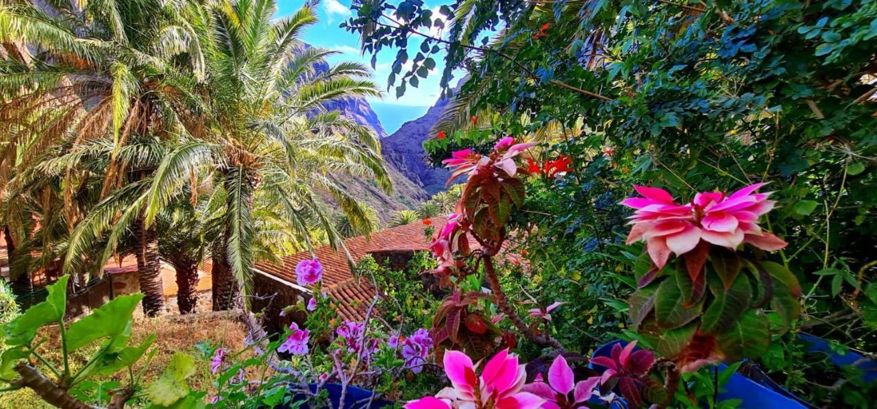 Ocean View Tenerife San Miguel de Abona Bagian luar foto
